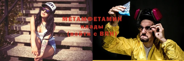 ГАЛЛЮЦИНОГЕННЫЕ ГРИБЫ Лагань