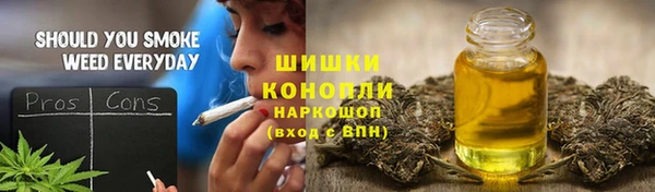 ГАЛЛЮЦИНОГЕННЫЕ ГРИБЫ Лагань