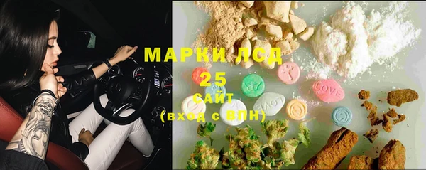 ГАЛЛЮЦИНОГЕННЫЕ ГРИБЫ Лагань