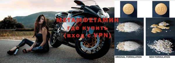 ГАЛЛЮЦИНОГЕННЫЕ ГРИБЫ Лагань