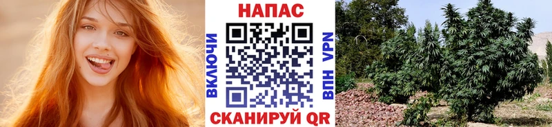 наркота Железногорск Конопля Ganja